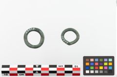 Foto von Bronzering (NHMW-PRAE-023878)